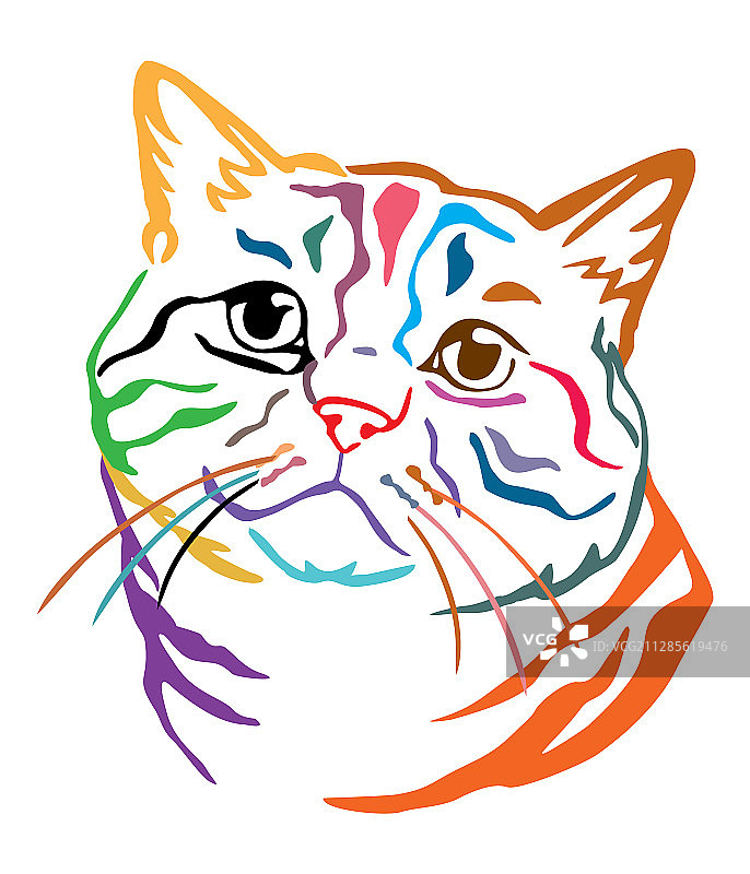 彩色装饰猫咪画像图片素材