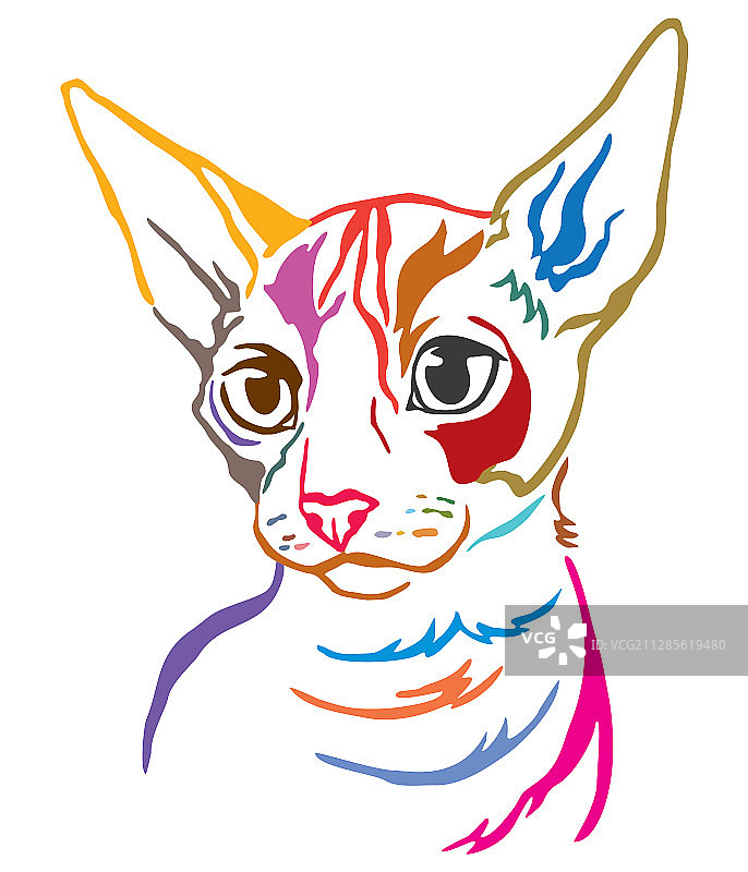 彩色装饰猫咪肖像4图片素材