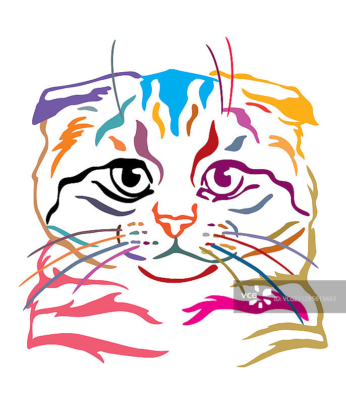 彩色装饰猫肖像6图片素材