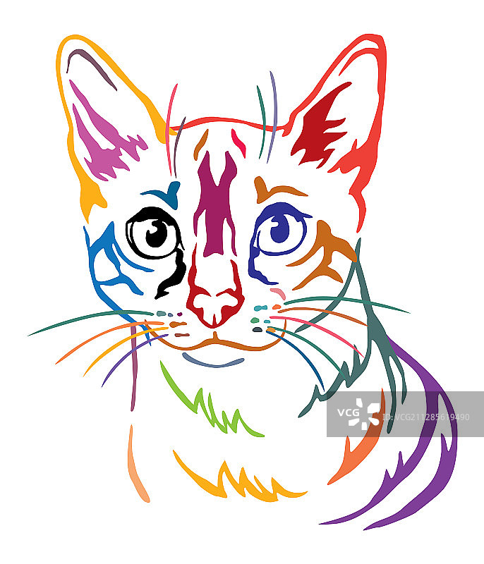 彩色装饰猫肖像图片素材