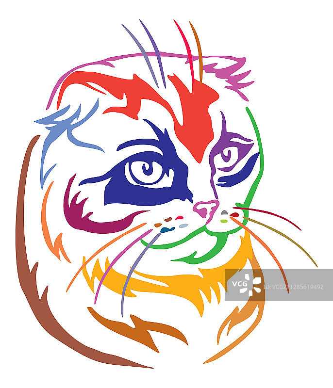 彩色装饰猫肖像9图片素材