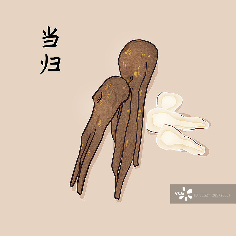 当归图片素材
