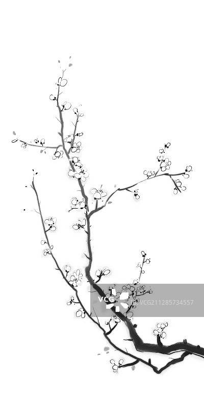 传统文化水墨中国画梅花图片素材