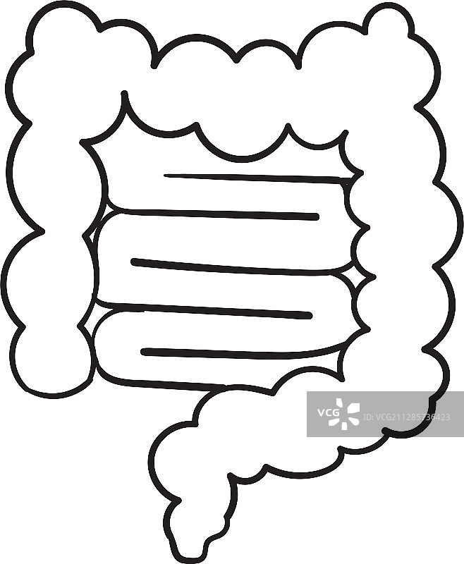 手绘肠道涂鸦线性图标图片素材