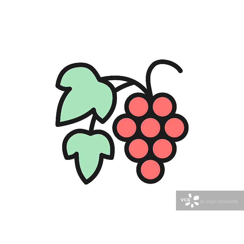 带浆果的葡萄枝扁平线条图片素材