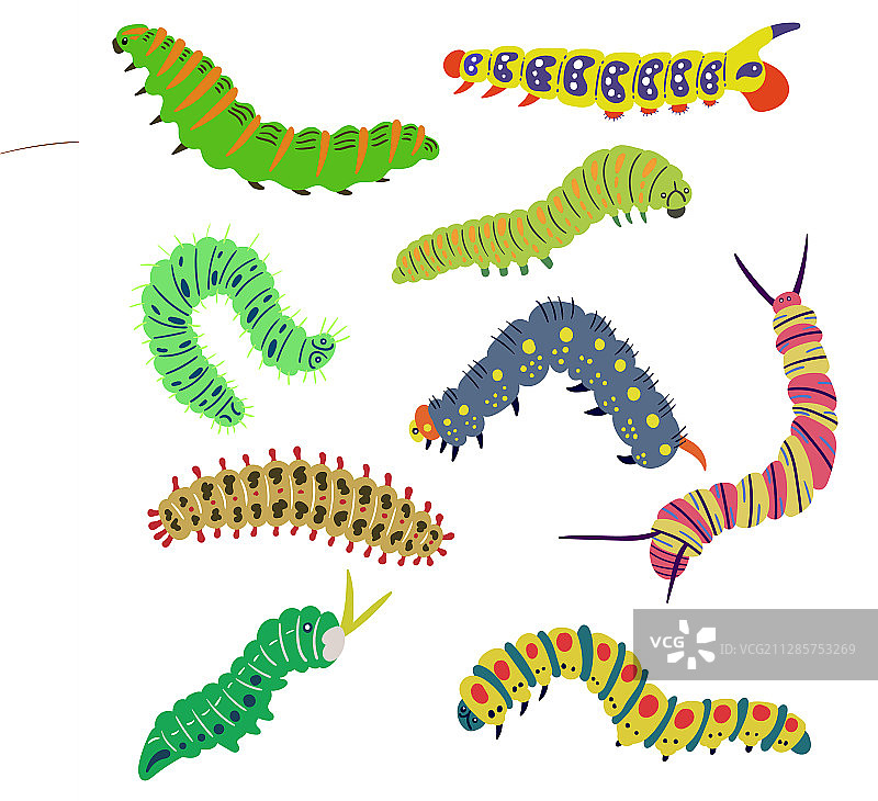 一组孤立的明亮毛毛虫手绘素材图片素材