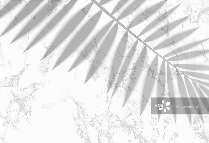 透明阴影热带树叶叠加效果图片素材