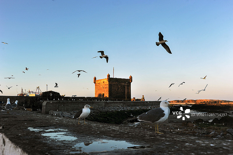 摩洛哥索维拉古城图片素材