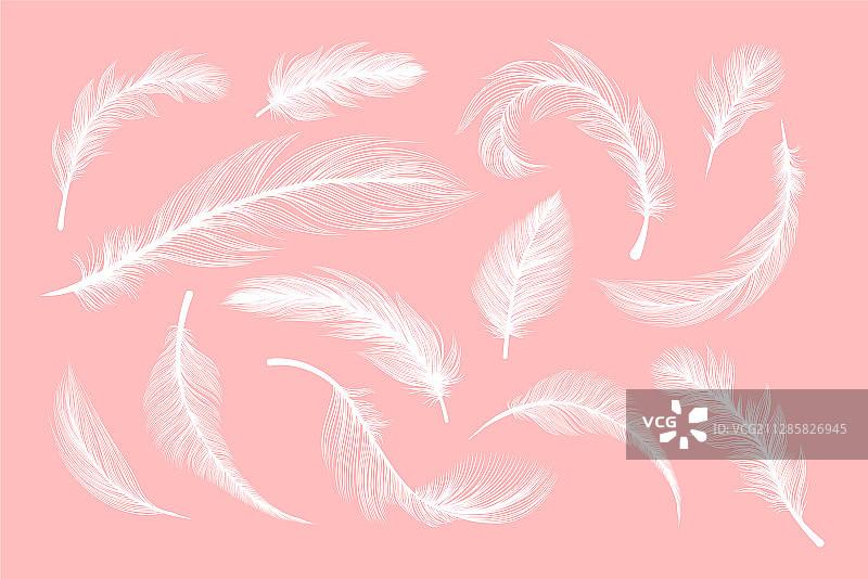 蓬松的白色羽毛飘动图片素材