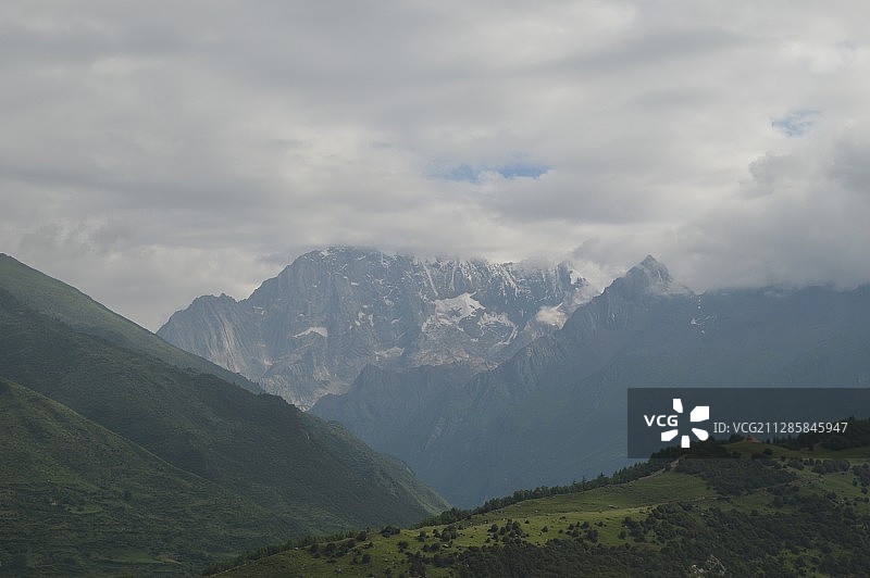 害羞的姑娘(Shy girl)图片素材