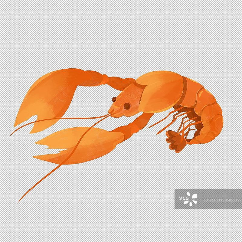 一只龙虾图片素材