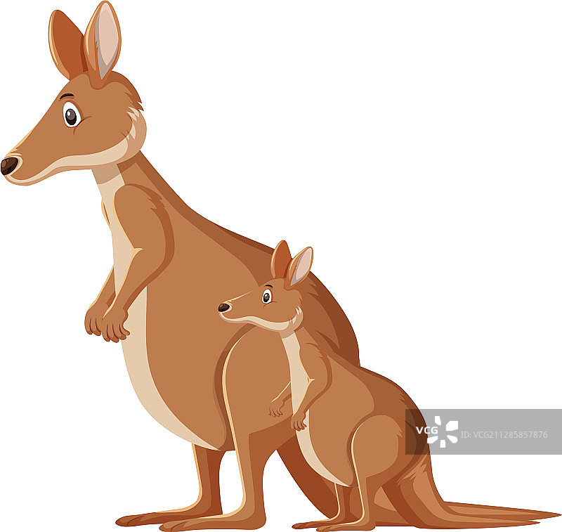 站在白色背景上的可爱袋鼠图片素材