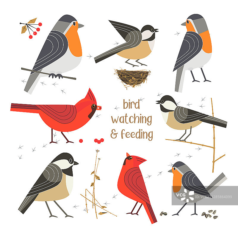 小鸟喂食海报图片素材