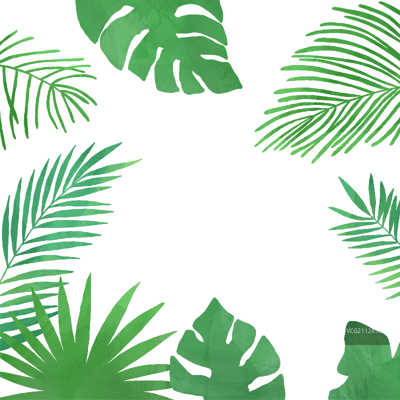 植物的叶子图片素材