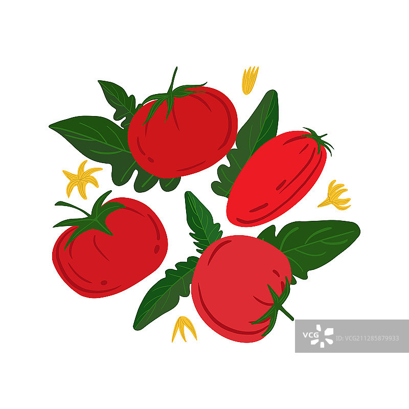白色背景上的成熟红色番茄和叶子图片素材