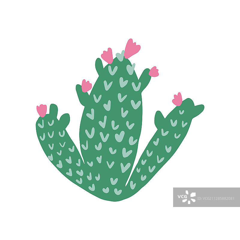 可爱的绿色多刺仙人掌花图片素材