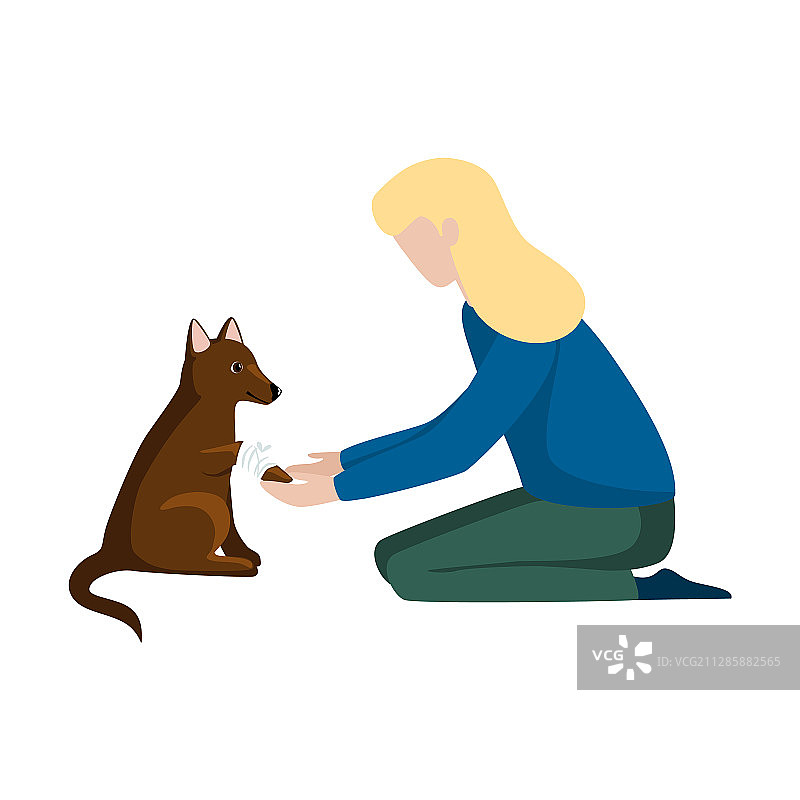 女人坐着给狗爪子包扎，志愿者图片素材