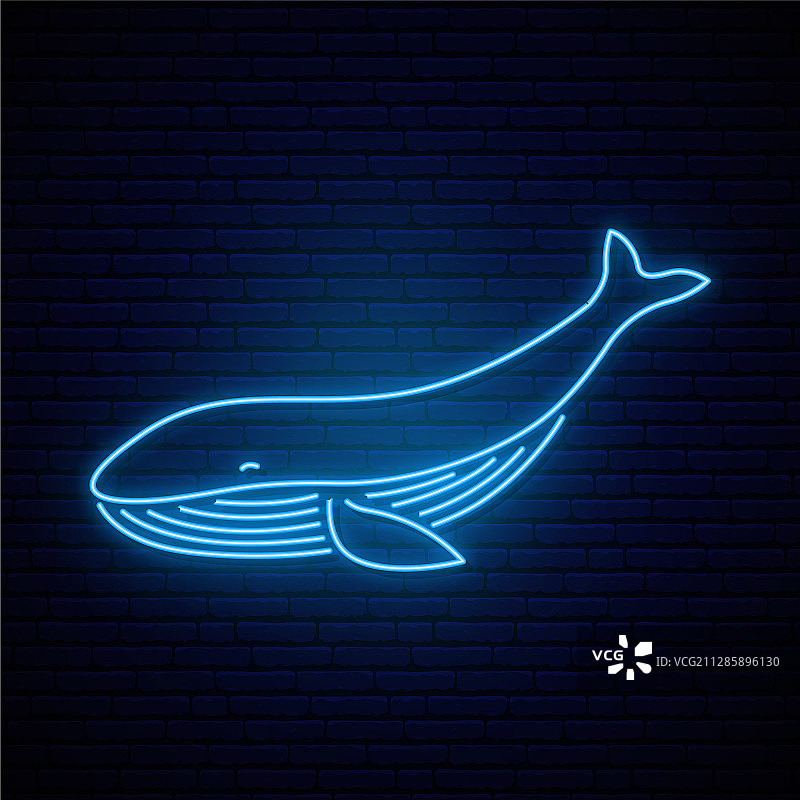 鲸鱼霓虹灯图片素材