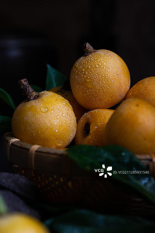 枇杷熟了图片素材