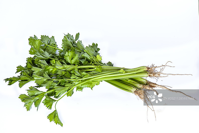 新鲜蔬菜-----芹菜图片素材