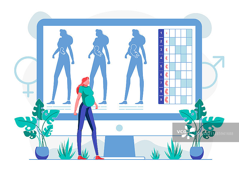 腹中胎儿扁平图图片素材