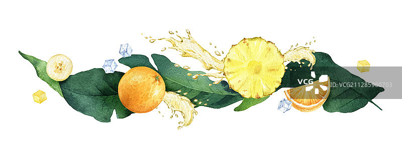 水彩绿色热带组合图片素材