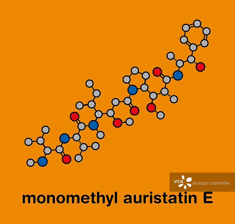 Monomethyl auristatin E分子模型图片素材