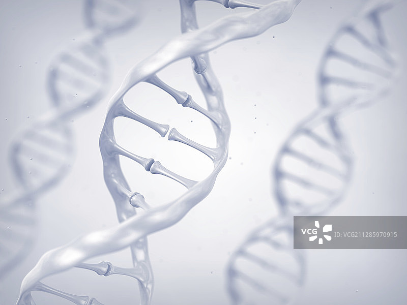 DNA分子插图图片素材