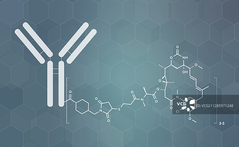曲妥珠单抗-美登素偶联药物分子图片素材