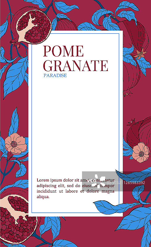 带石榴果实的竖版banner图片素材