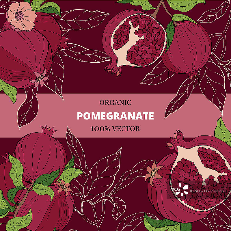 石榴主题banner设计图片素材