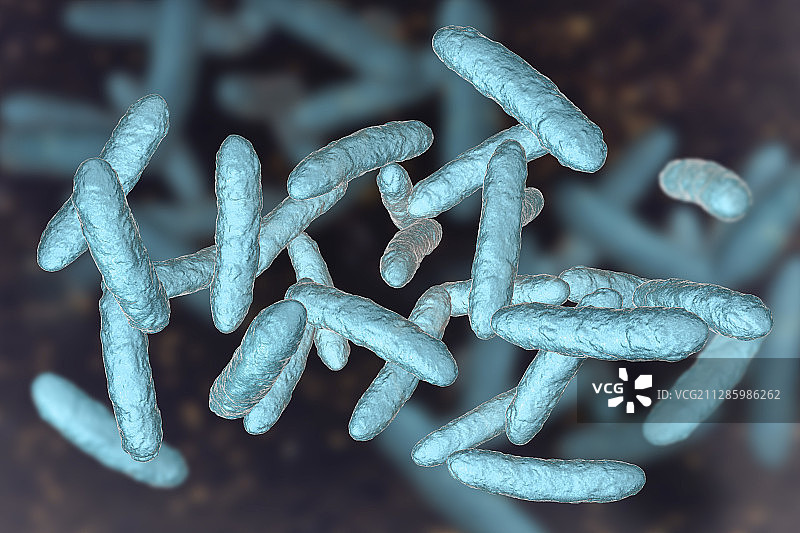 益生菌细菌插画图片素材