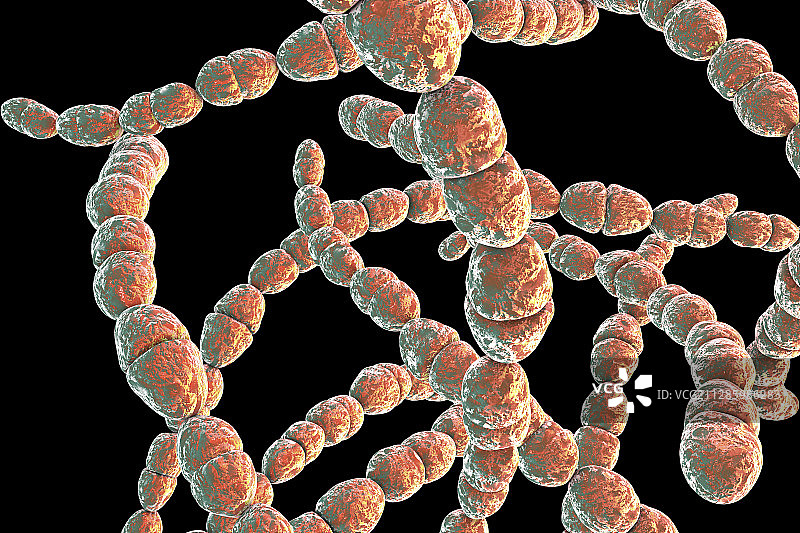 嗜热链球菌细菌插图图片素材