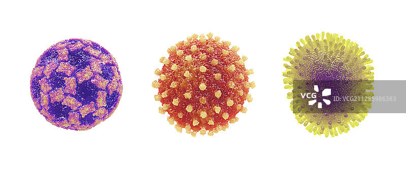 三种病原病毒，图示图片素材