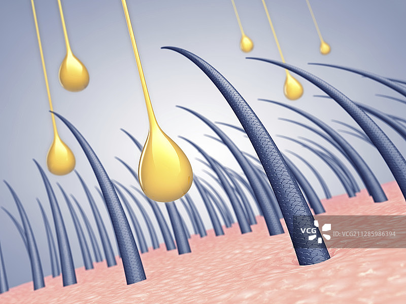 头发强化护理概念插画图片素材