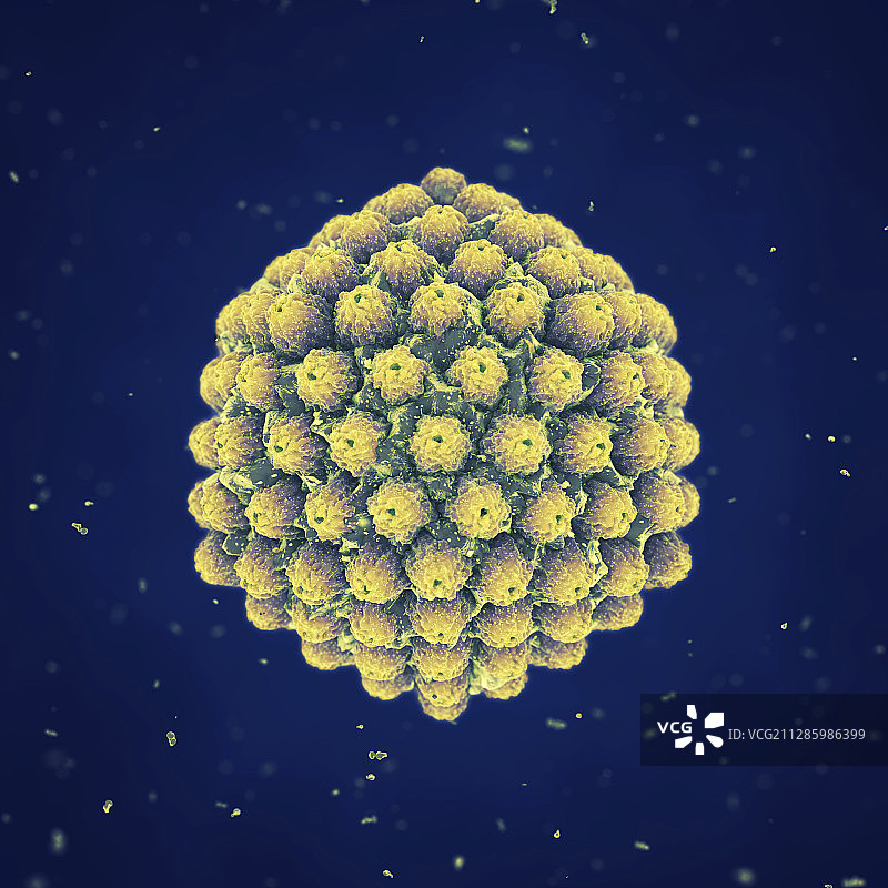 疱疹病毒图图片素材