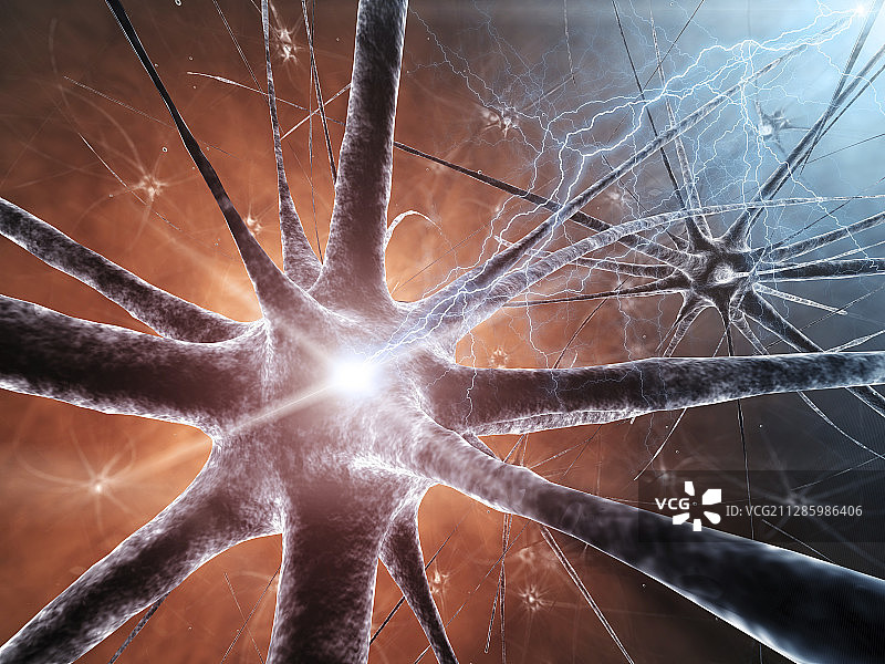 神经细胞插图图片素材