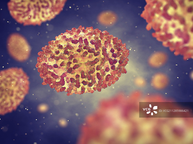 天花病毒，图示图片素材
