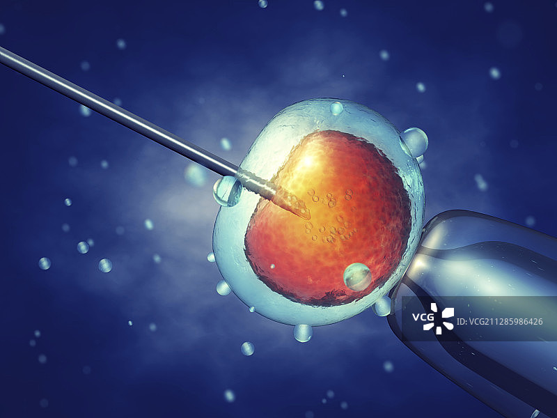 体外受精示意图图片素材