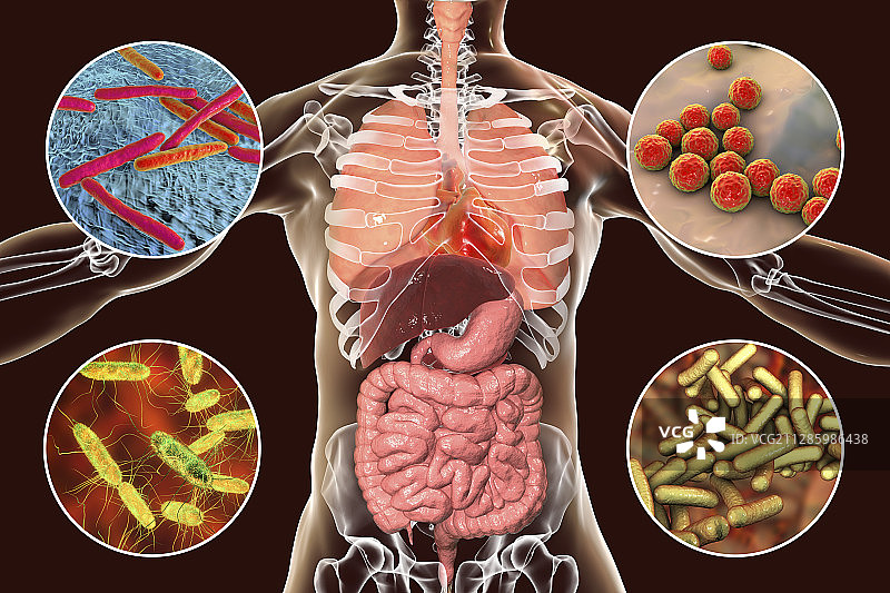 引起人类感染的细菌，图示图片素材