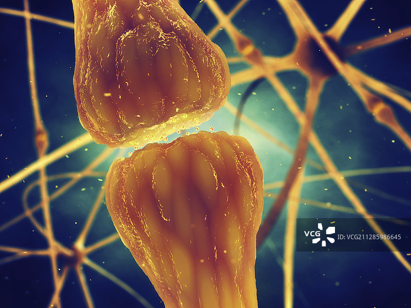 突触示意图图片素材