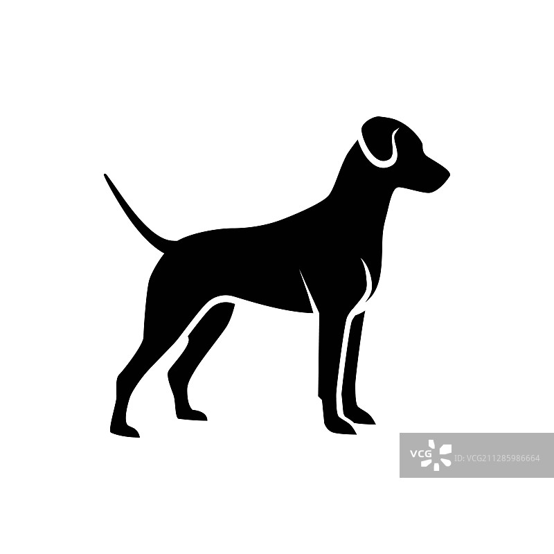 宠物狗图片素材