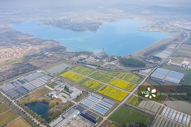 南京市溧水区白马镇江苏农机科技示范园图片素材