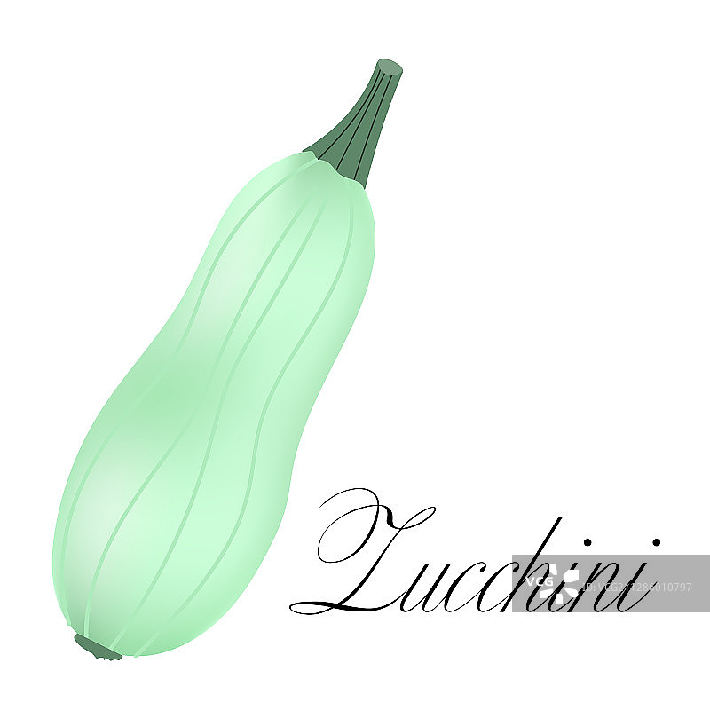 白色背景上的蔬菜西葫芦图片素材