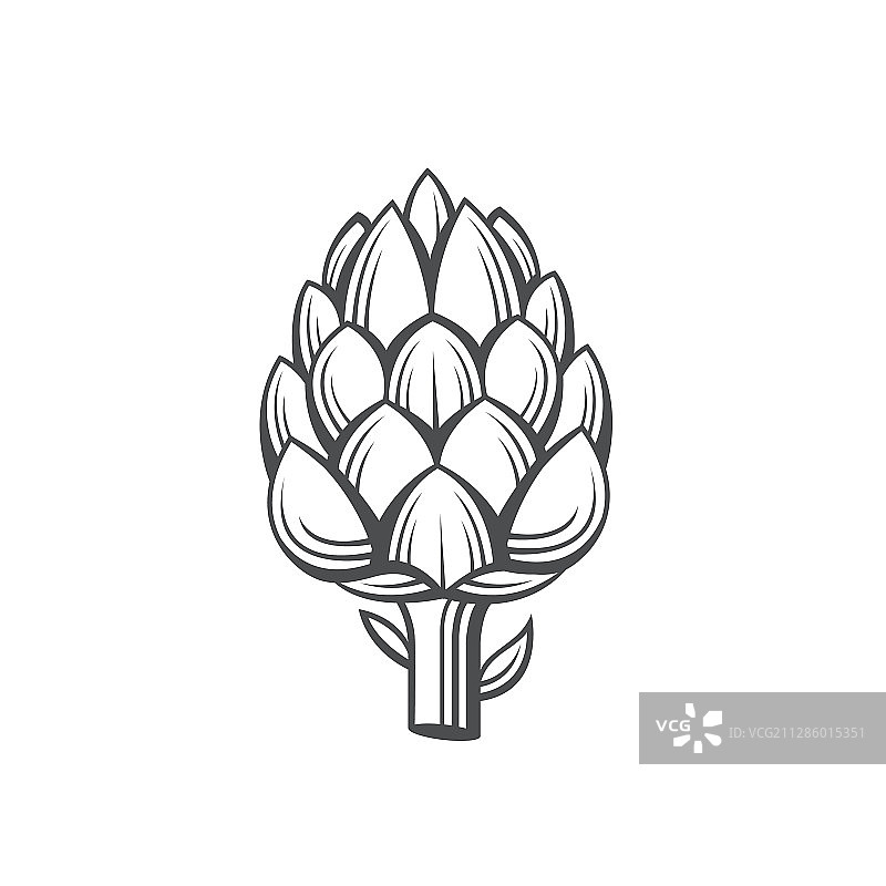 朝鲜蓟蔬菜图片素材