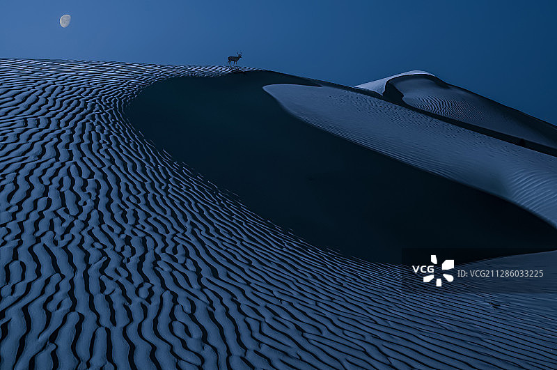 静夜思图片素材