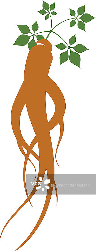 人参图标图片素材