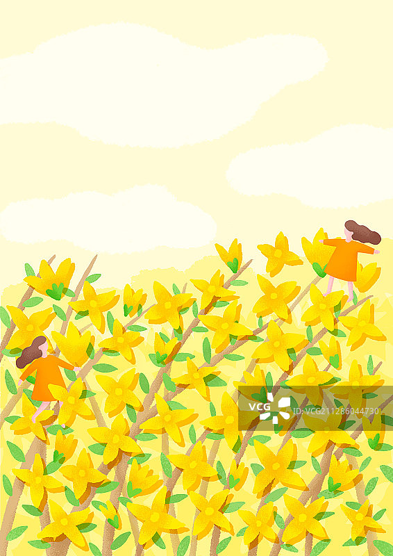 春天，景观，花朵，仙女，连翘图片素材