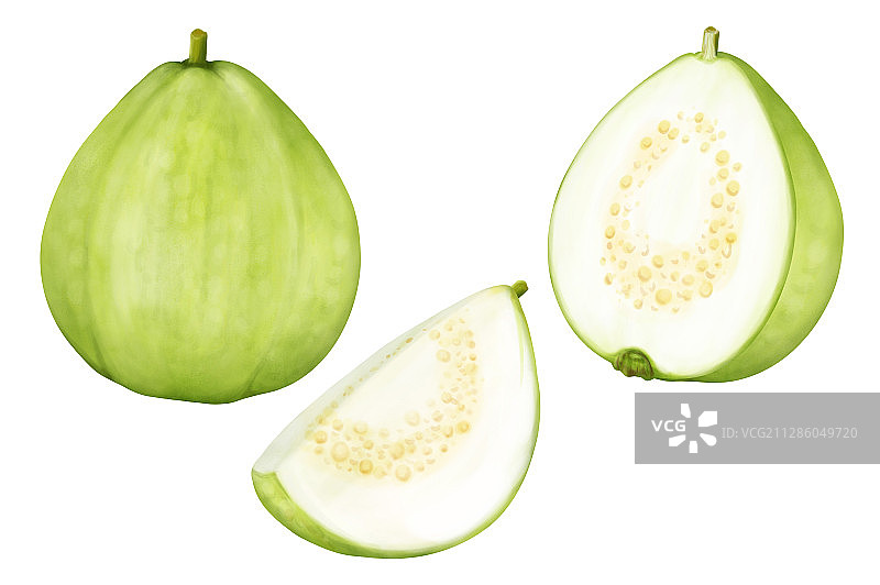 新鲜的番石榴图片素材