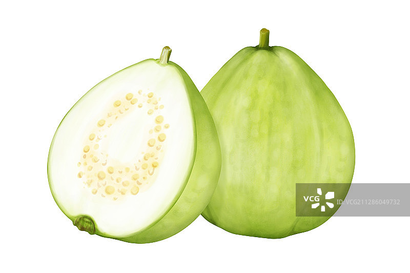 新鲜的番石榴图片素材